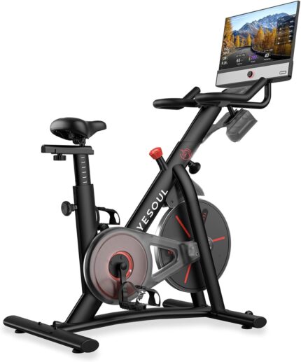 YESOUL G1M Ergometer, 21,5-Zoll-FHD-Bildschirm, Magnetwiderstand