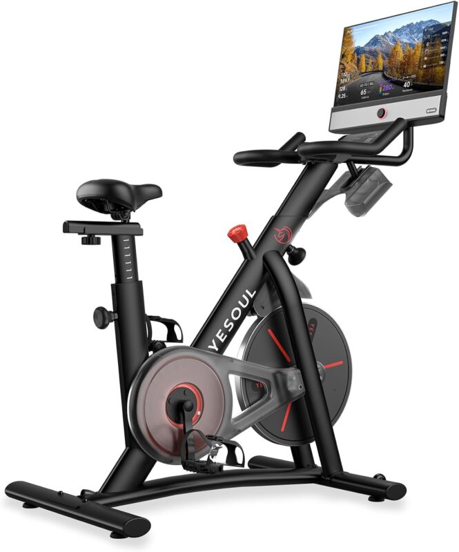 YESOUL G1M Ergometer, 21,5-Zoll-FHD-Bildschirm, Magnetwiderstand